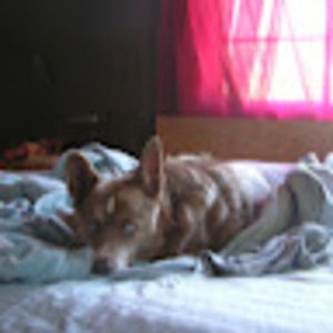 Meet your Posher, Mercedes